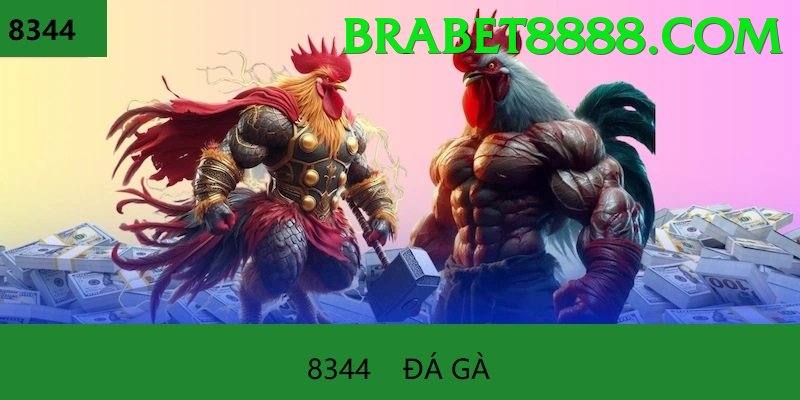 Đá Gà Trực Tiếp - Ưu đãi đặc biệt